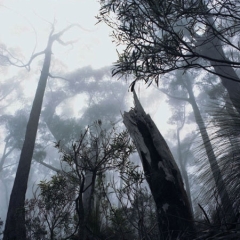 OZ_03