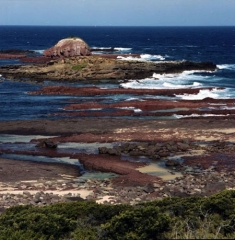OZ_05