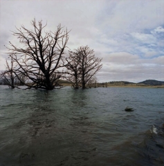 OZ_06