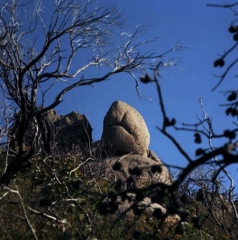 OZ_08