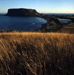 OZ_10