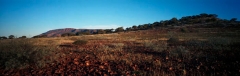 Australie21